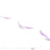 cialis tadalafil femme